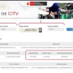 consulta de revisión técnica vehicular por placa perú