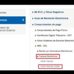 como anular una factura electrónica sunat