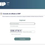 ¿Cómo saber si estoy en la ONP?