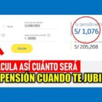 ¿Cómo calcular mi pensión de jubilación ONP?