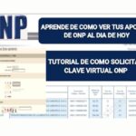 ¿Cómo saber cuántos años de aporte tengo en la ONP?