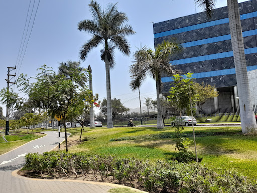 BCP Sede Central