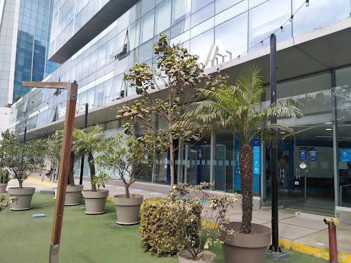 BBVA Las Begonias