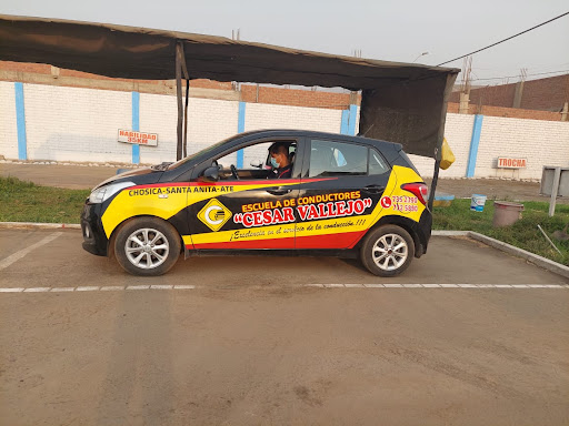 Agente Banco de la Nación
