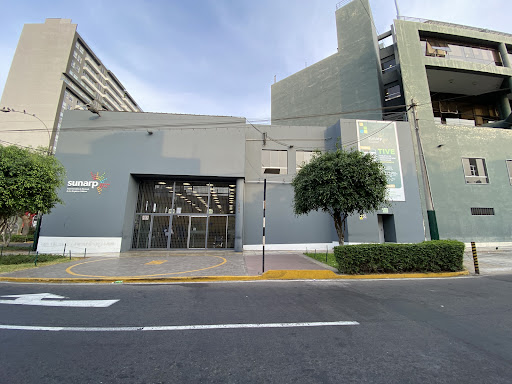 Superintendencia Nacional de Registros Publicos