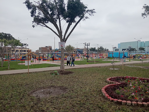 oficina essalud afiliacion