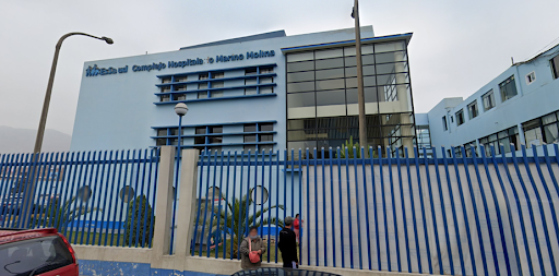 Hospital Marino Molina Scippa