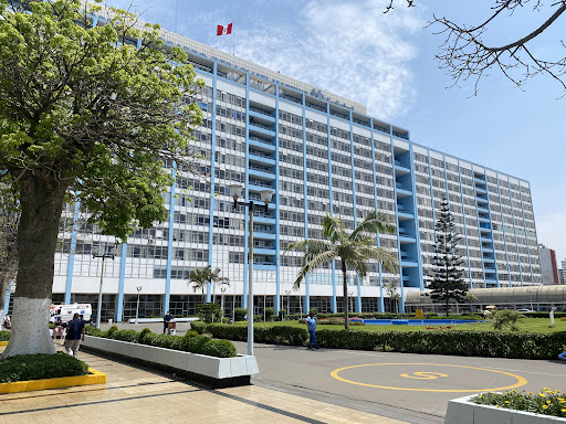 Hospital Edgardo Rebagliati Martins