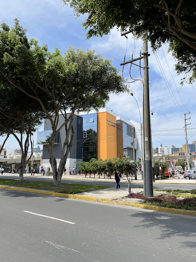 MTC - Local Touring Lince