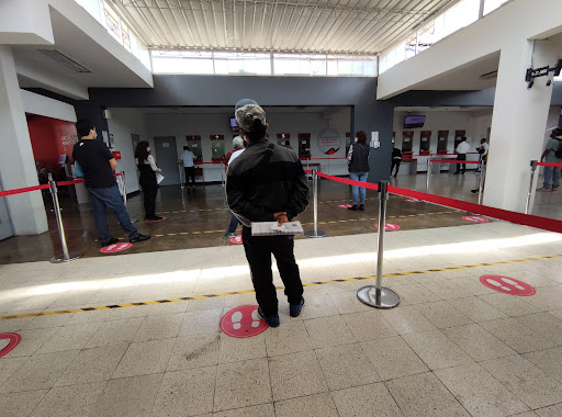 Dirección de circulación vial mtc